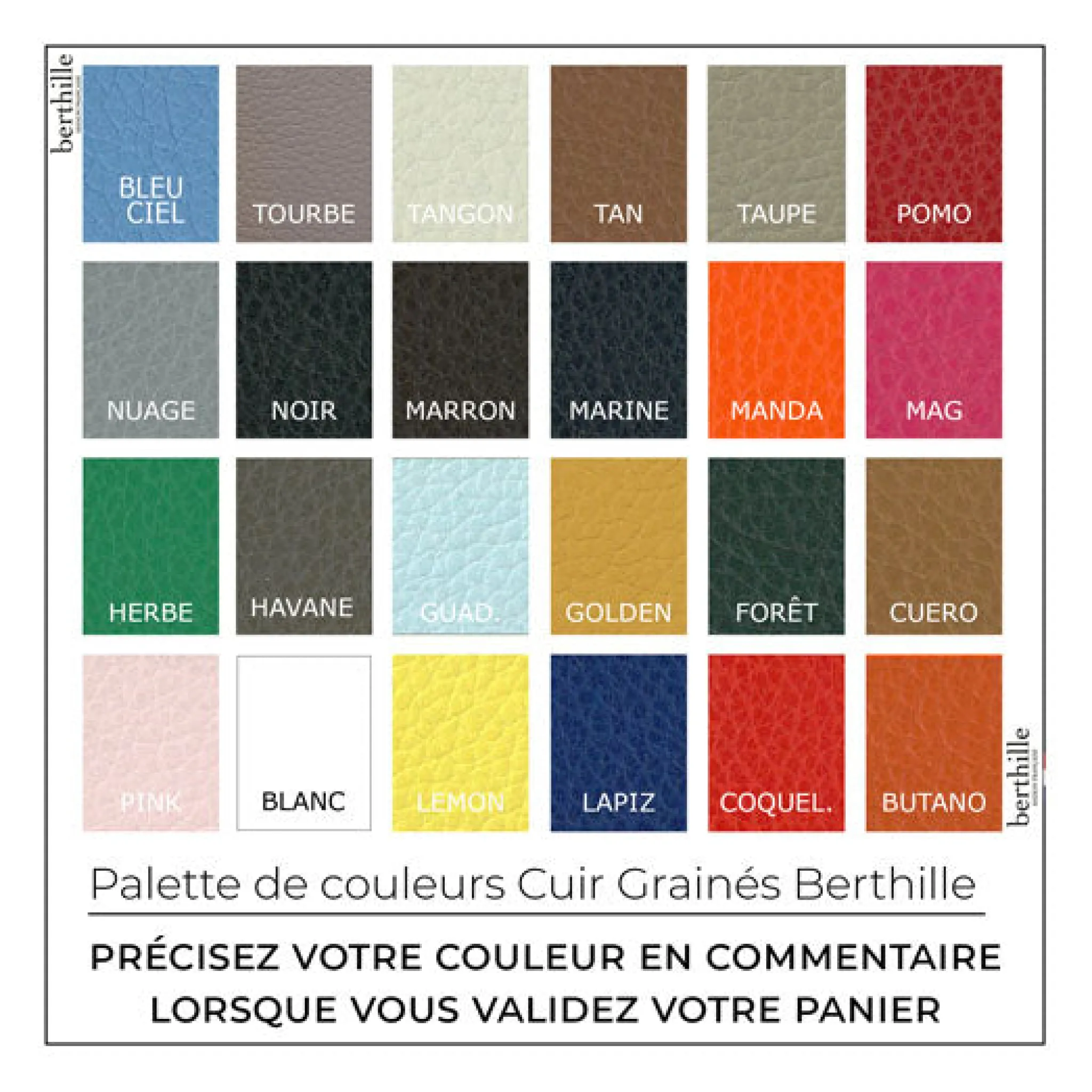 Maison Berthille Petits Sacs À Main | Sacs Bandoulière>Sac à main Mini Vendôme en Cuir Grainé | Collection Vedette Berthille